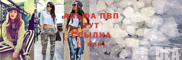 дживик Абаза