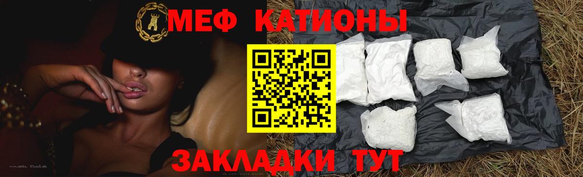 МЕФ  Александров