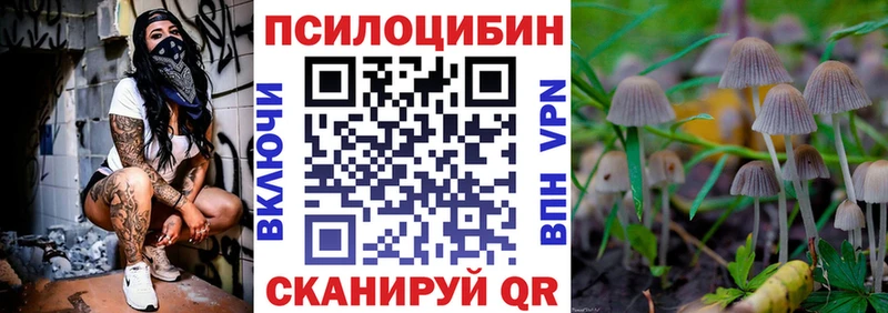 Псилоцибиновые грибы мицелий  цены   Александров 