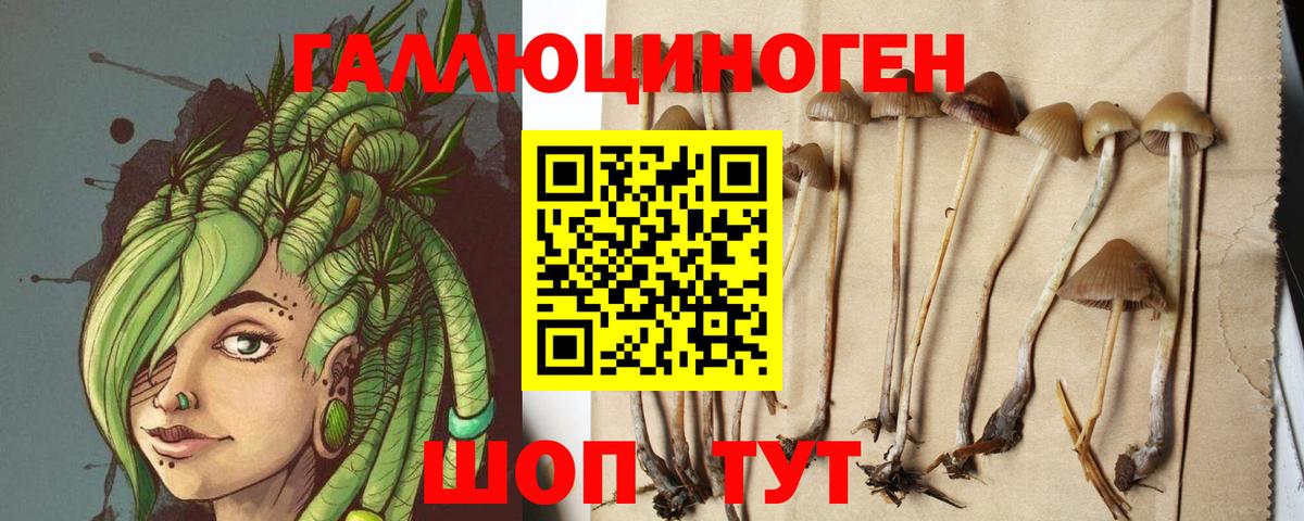 Галлюциногенные грибы ЛСД  Вход с VPN  Галлюциногенные грибы Magic Shrooms  Александров 