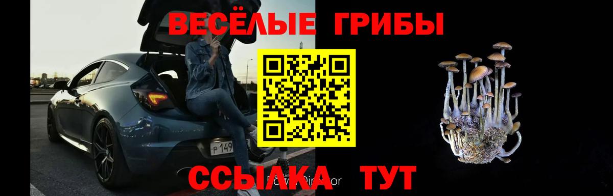 Галлюциногенные грибы MAGIC MUSHROOMS Александров